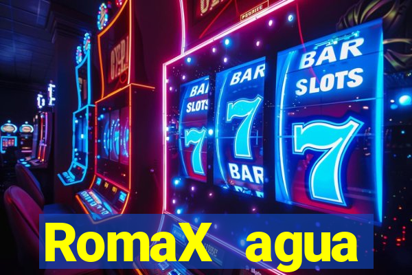 RomaX agua sanitaria fispq agua sanitaria romax